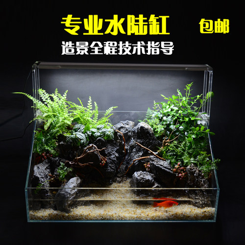 水陆缸超白 微景观草缸植物生态雨林造景鱼缸套餐水族箱 两栖鱼缸 - 图0