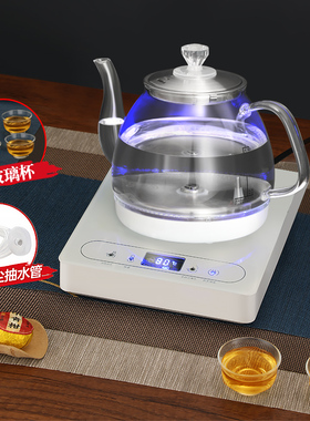 底部上水电热水壶玻璃1.2L泡茶用