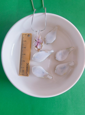 多巴胺马卡龙彩色琉璃串珠项链 ins 小众海边度假甜酷撞色颈链女