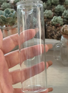 多肉玉露水培玻璃花瓶杯子ins高颜值水培多肉植物器皿