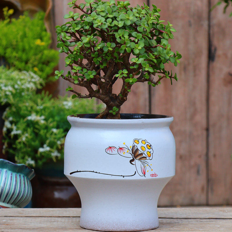 宜兴粗陶白色家用花盆刻花大绿植月季绣球盆紫砂陶瓷多肉花卉陶罐,淘宝优惠券,粉丝福利购,淘宝优惠卷