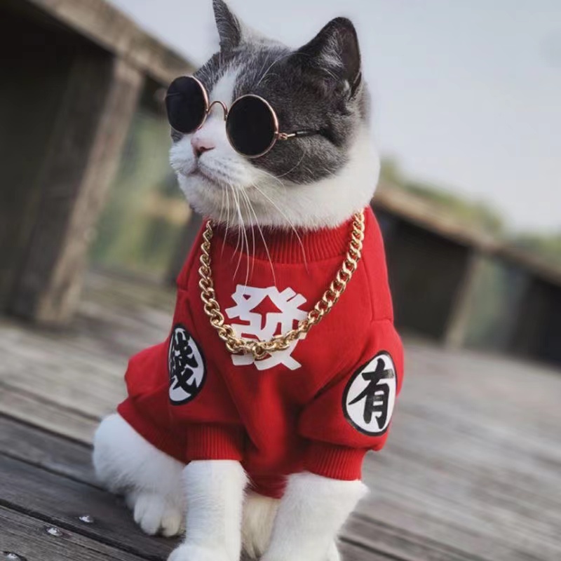 可爱蓝猫布偶衣服防掉毛宠物猫咪狗狗衣服加绒加厚卫衣中小大型犬 - 图3