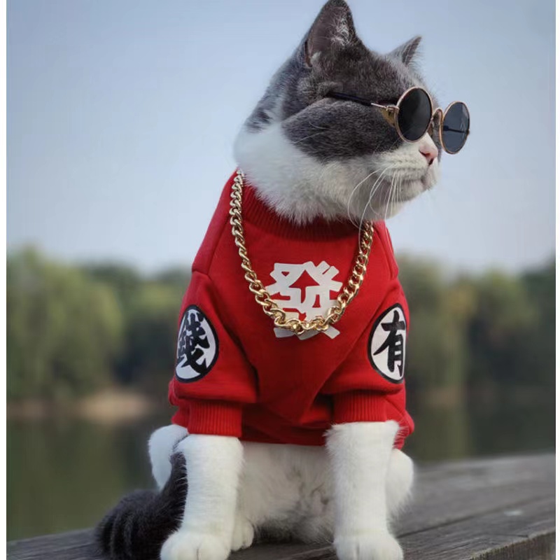 可爱蓝猫布偶衣服防掉毛宠物猫咪狗狗衣服加绒加厚卫衣中小大型犬 - 图2