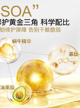 补水保湿强韧肌肤屏障修护基底