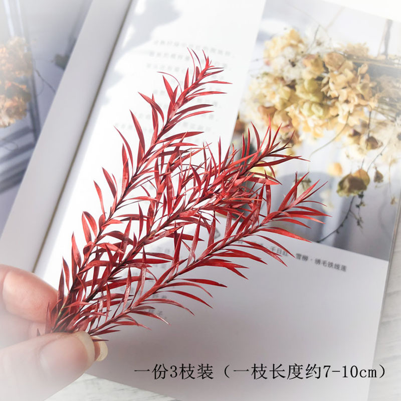 永生花圣诞花材细尖叶千层金厥叶diy材料干花礼盒绿植拍摄道具-图1