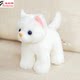 Hailiwei cat doll plush toy kitten