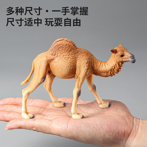 实心动物模型仿真野生动物园世界儿童认知狮子老虎大象男女孩玩具 - 图2