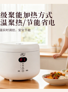 飞鹿电饭锅陶瓷内胆麦饭石瓦胆0无涂层电饭煲柴火饭2L预约保温