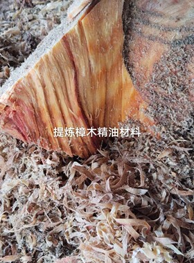广西桂林樟木精油，樟木精油泡吴茱萸