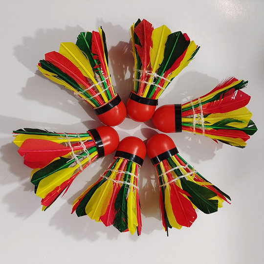 体育用品羽毛球 室外训练学习娱乐羽毛球 彩色红皮头10只装羽毛球