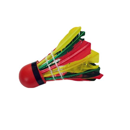 体育用品羽毛球 室外训练学习娱乐羽毛球 彩色红皮头10只装羽毛球