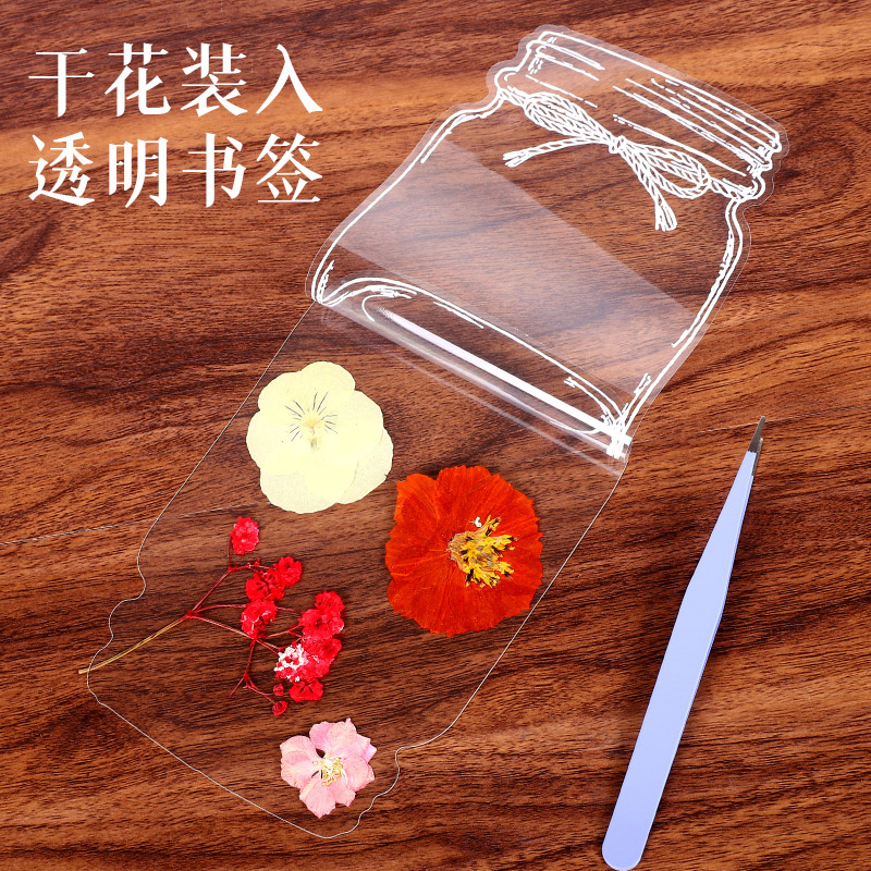 透明干花书签贴自制压花植物标本树叶子diy材料小学生制作材料包-图2