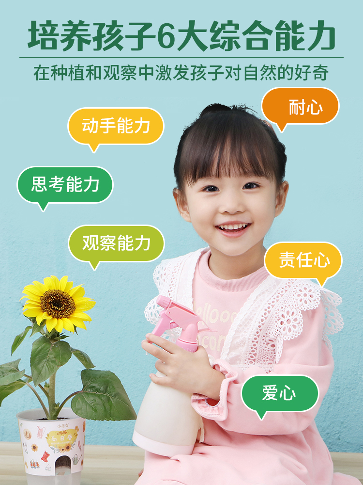 儿童迷你植物盆栽幼儿园小学生自种观察植物生长花农diy种子发芽 - 图0