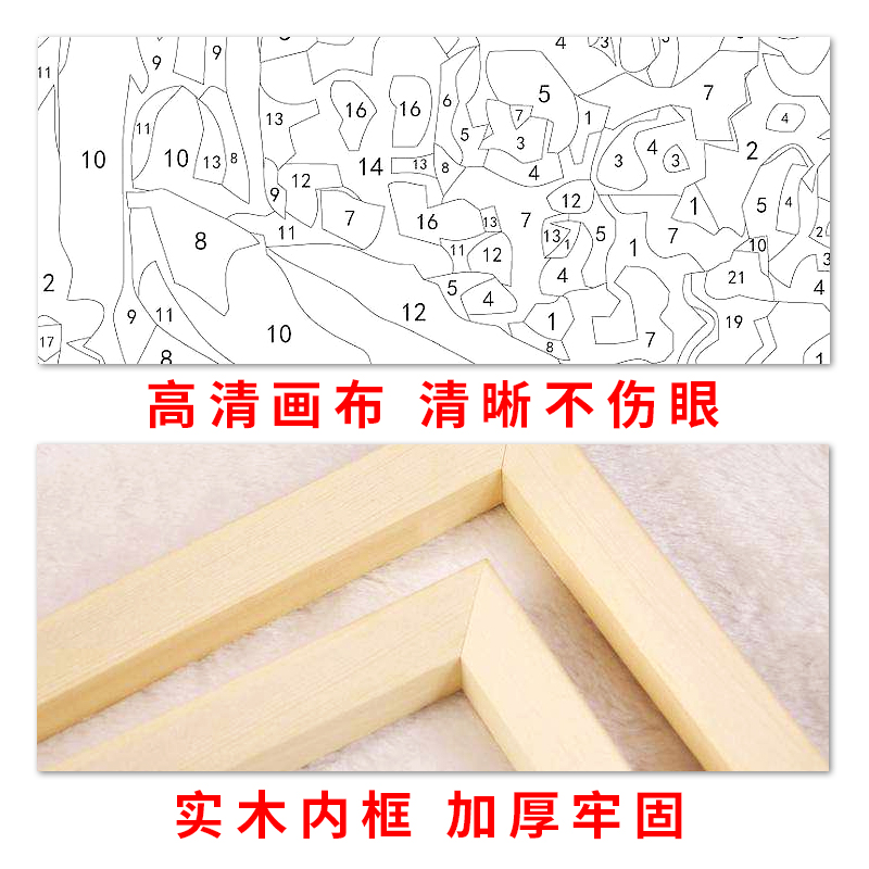 diy数字油彩画定制照片手工手绘减压装饰画填色填充人物自绘油画 - 图3
