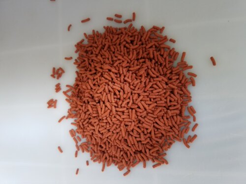 黄金鳖专用饲料白化变异龟鳖宠物甲鱼鳖深水鳖天然增色龟粮黄化鳖 - 图1