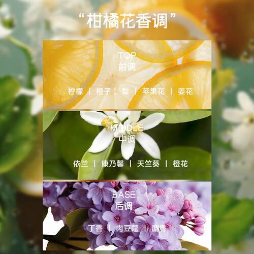 高级伴手礼香氛生日礼物阳光柑橘中性香柔和好闻大牌露露香调同款 - 图1