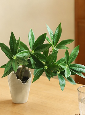 仿真绿植小盆栽桌面护眼