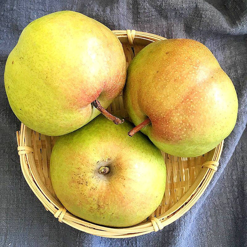 延边苹果梨新鲜孕妇水果10斤整箱包邮脆甜东北特产龙井霜后苹果梨,淘宝优惠券,粉丝福利购,淘宝优惠卷