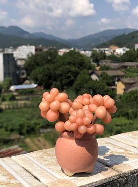 办公室多肉小盆栽可爱车载个性汽车装饰用公仔玩偶萌萌树脂纯手工