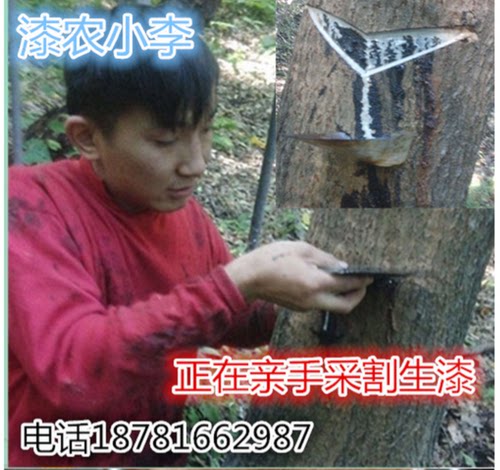 天然大漆优质土漆正宗国漆 三代漆农漆农小李 原浆生漆精细过滤 - 图2
