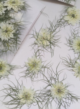 黑种草蓝色植物标本干花压花书签