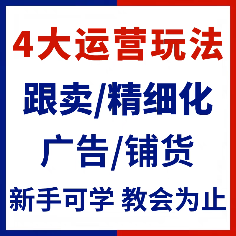 东南亚跨境一对一陪跑远程语音教学指导新手电商代运营起店咨询-图1