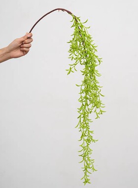 仿真植物枝条蕨类叶子