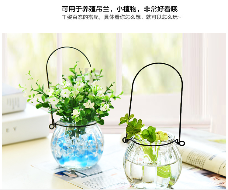 绿萝水培花瓶南瓜玻璃花瓶彩色小吊瓶插花透明玻璃花瓶配送铁环 玲珑阁玻璃制品销售部 淘优券