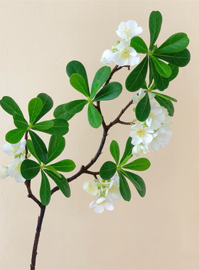 2025新款高档逼真仿真花假花摆设客厅餐桌装饰花插花塑料花艺摆件