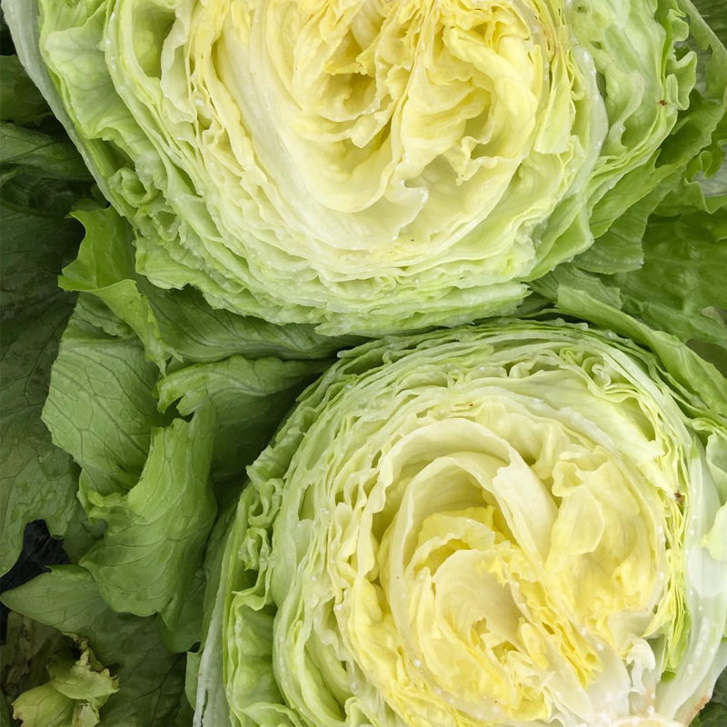 汉堡用球生菜20斤装西餐新鲜蔬菜沙拉食材结球形圆型西生菜包邮-图2