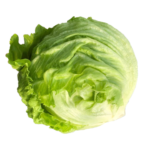 球生菜5斤装 汉堡专用新鲜蔬菜沙拉食材轻食结球形圆型西生菜包邮 - 图3