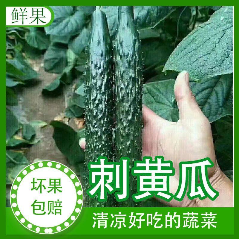 云南当季刺黄瓜新鲜青瓜绿心黄瓜批发脆黄瓜现摘现发,淘宝优惠券,粉丝福利购,淘宝优惠卷