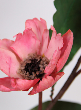干花仿真花花束摆放装饰花单支