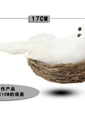 卡萝琳羽毛园林婚庆装扮风小白鸽