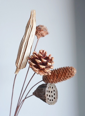 松果莲蓬插花道具干花干果装饰