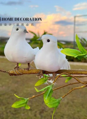 一对装扭头羽毛仿真工艺鸟和平鸽