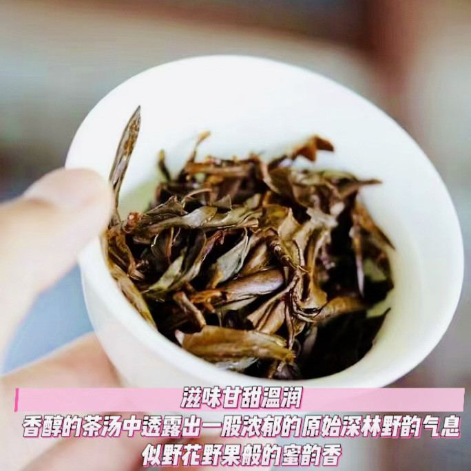 2026春茶正宗云南滇红茶千年野生古树红茶特级浓香型工夫红茶100g