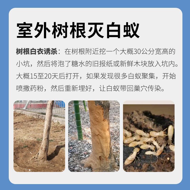 白蚁防治专用药全窝端家用室内除灭杀白蚁药粉杀虫剂地基装修预防 - 图1