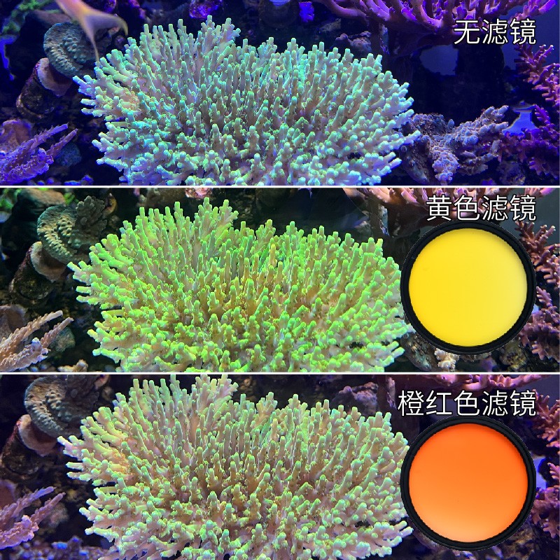 Vastocean海缸滤镜海水珊瑚缸拍照去蓝光微距拍摄神镜头手机夹子 - 图0