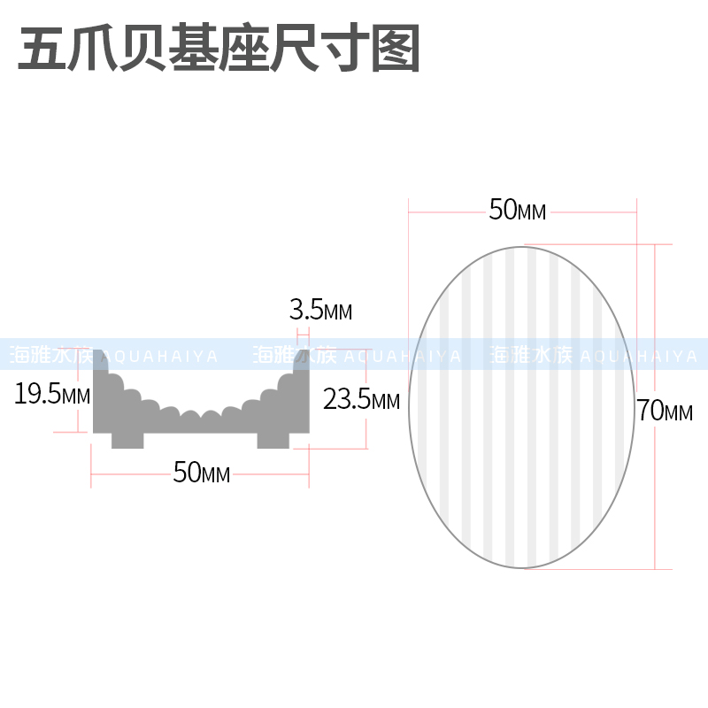 海雅水族海水鱼海水五爪贝断枝座纽扣基座珊瑚底座断肢支架陶瓷座-图2