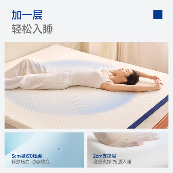 Dream Lily Thin Cushion Memory Foam Mattress Tatami Mat Mattress