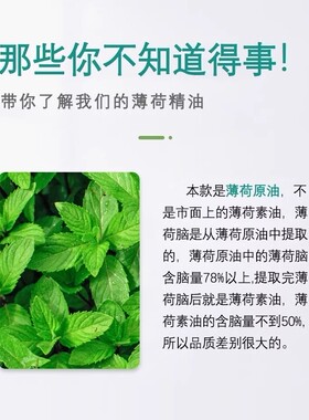 薄荷精油单方100ml提神醒脑