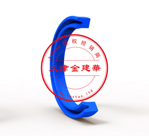 K21原装进口UN轴孔通用油封卡斯塔斯KASTAS密封圈件油封液压气动 - 图1