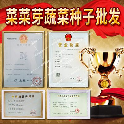 圣凯华农浙大长白萝卜种子籽春秋播大田冬储蔬菜经济作物蔬菜种子 虎窝淘