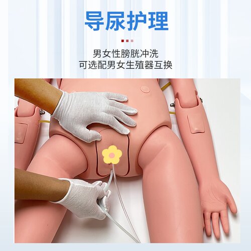 多功能护理模拟人模型男女性医院学校用人体教学模特输液打针导尿 - 图1