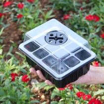 Home Seedling Nursery Tray Nursery dedicated basin Nutrient Cup Plastic Bowl rectangular tray Cuttage Sprout box Box