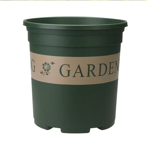 家用绿植盆栽桌面花盆多肉植物圆形种菜盘草莓盆托盘月季盆加仑盆 - 图3