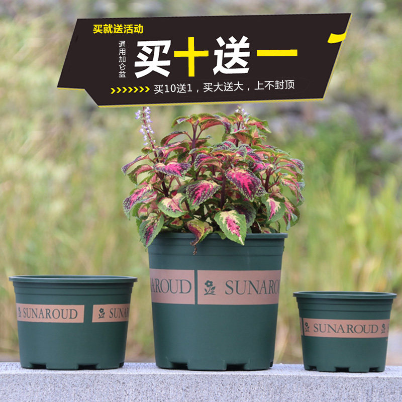 家用绿植盆栽桌面花盆多肉植物圆形种菜盘草莓盆