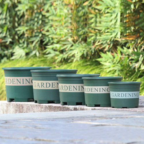 家用绿植盆栽桌面花盆多肉植物圆形种菜盘草莓盆托盘月季盆加仑盆 - 图1