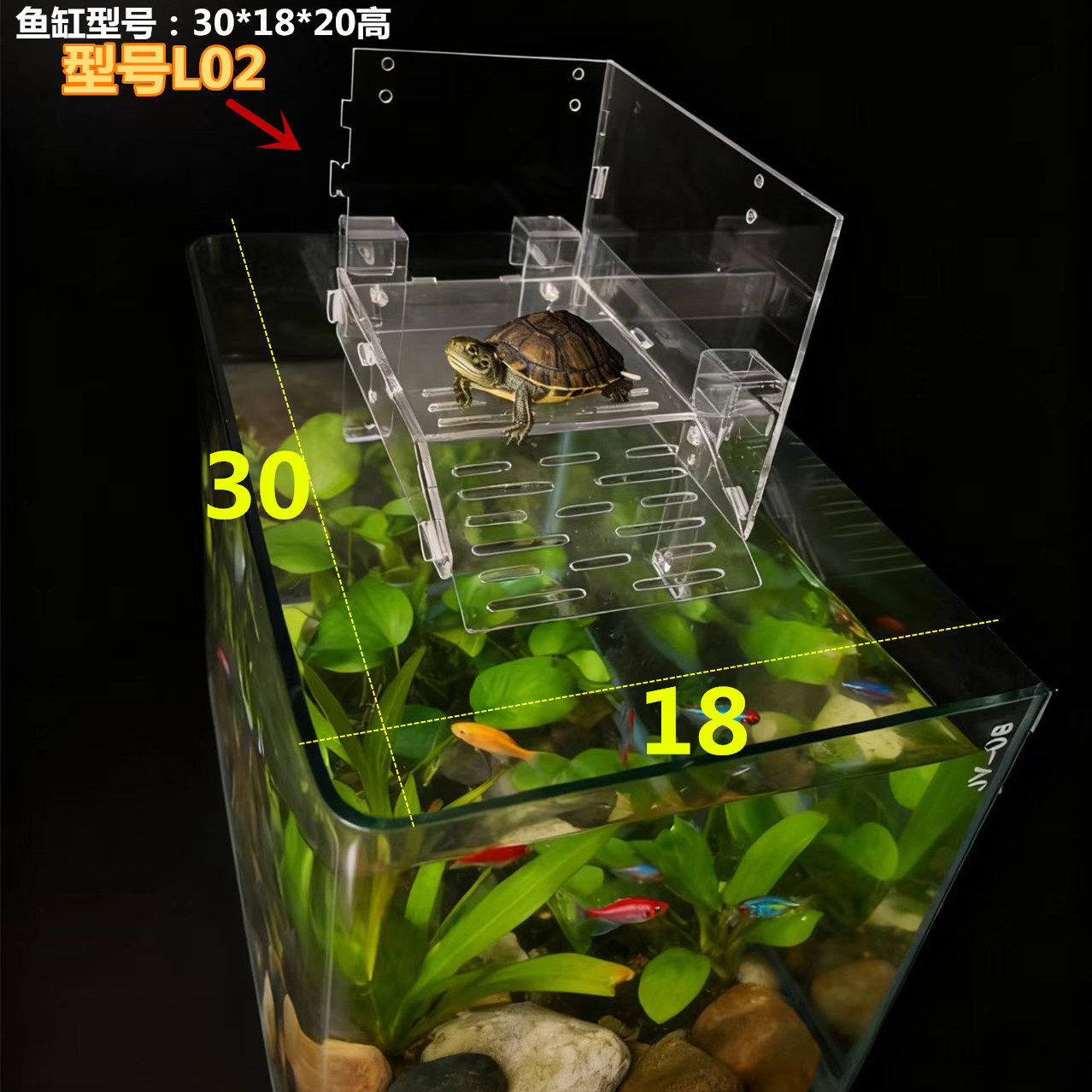 图2